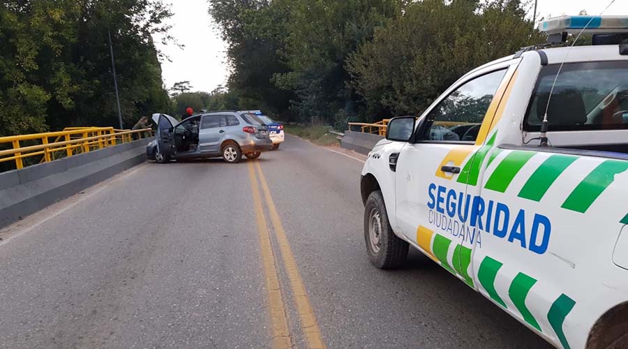 Accidente Vial con un Perro en Mendiolaza