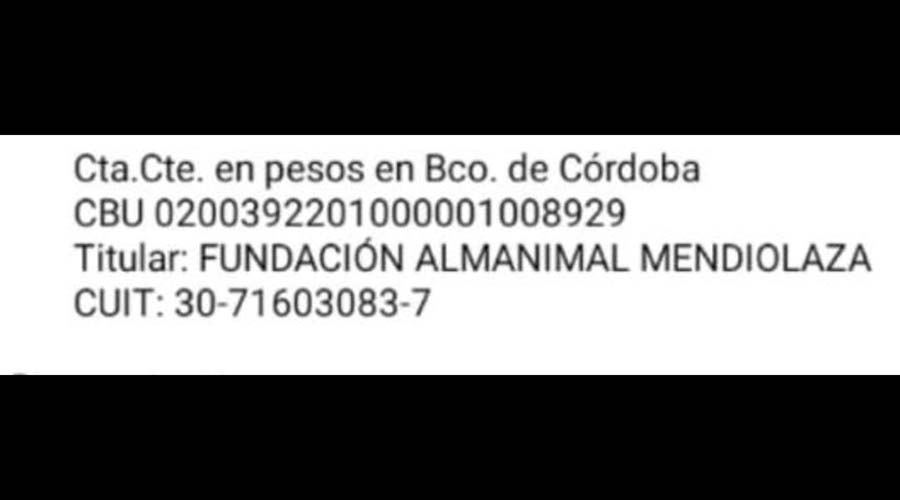 Maltrato animal en Mendiolaza