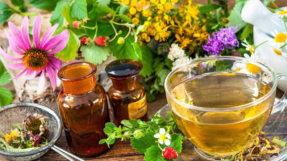 Taller de Hierbas Medicinales en Mendiolaza