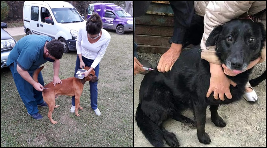 Área de Bienestar Animal de Mendiolaza