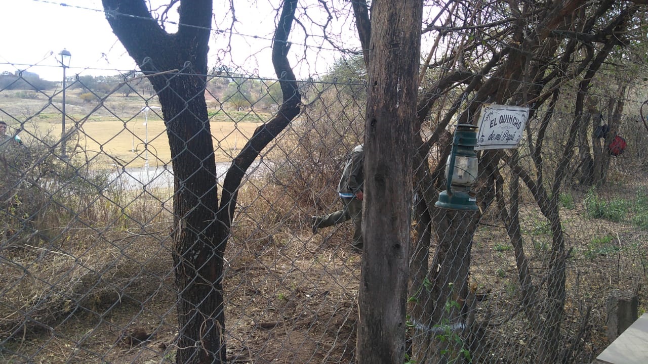 Tala de Bosque Nativo en Mendiolaza