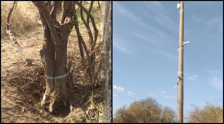 Tala de Bosque Nativo en Mendiolaza
