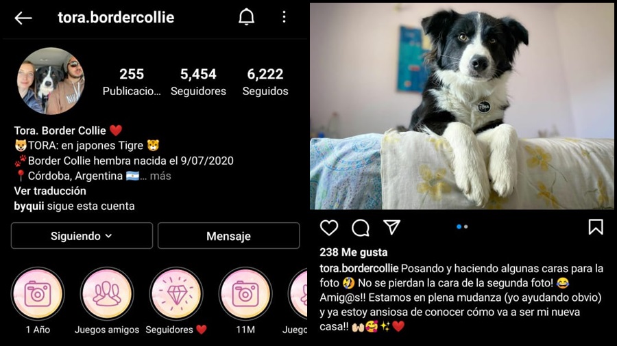 Una Perra Influencer en Mendiolaza