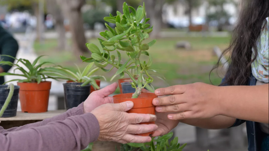 Agenda cultural de Mendiolaza 05/05