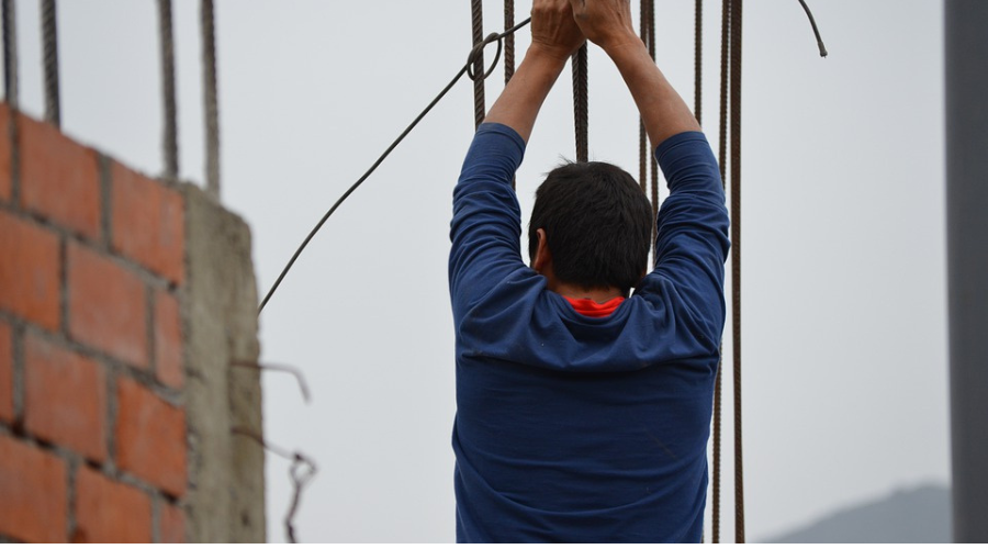 Vivienda Semilla en Mendiolaza columna