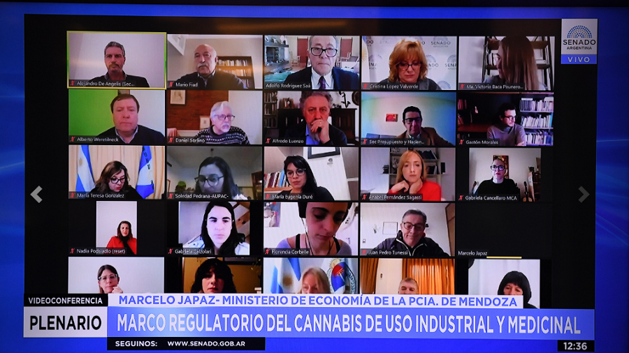 Conversatorio sobre cannabis en Mendiolaza senado