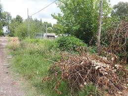 Poda chipeo y reclamos en Mendiolaza