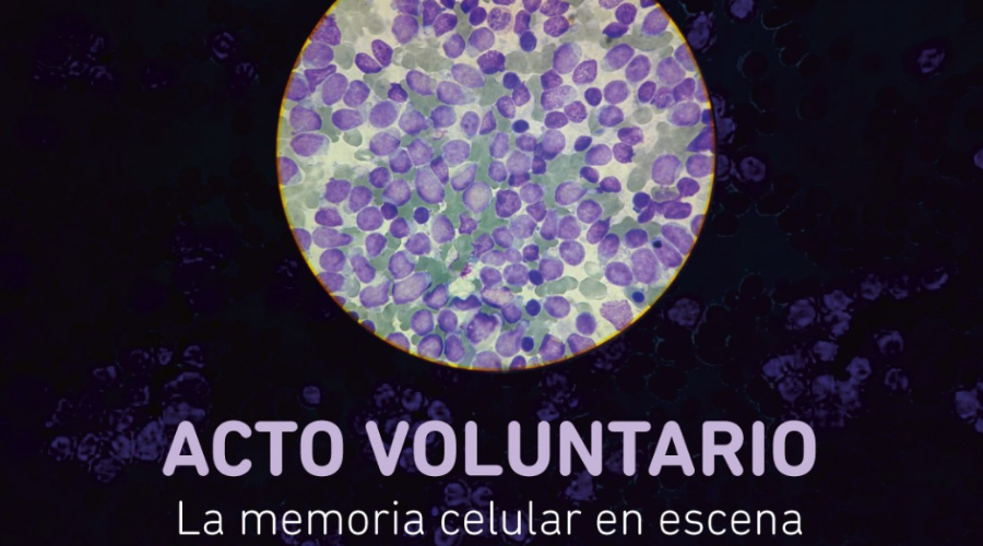 Juliana Di Blasio Acto Voluntario