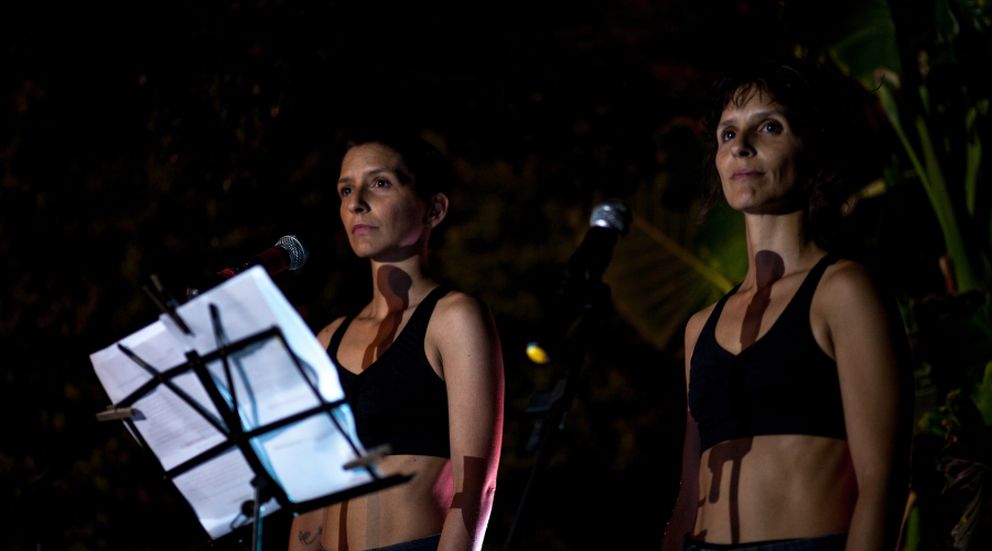 Gemelas enfermedad y arte en Mendiolaza