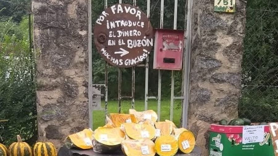 Un hombre de campo en Mendiolaza puesto