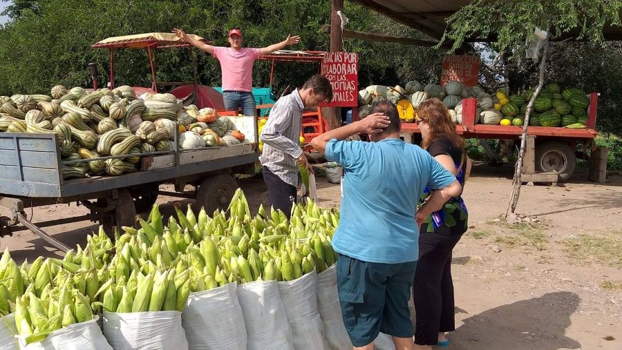 Un hombre de campo en Mendiolaza ruta