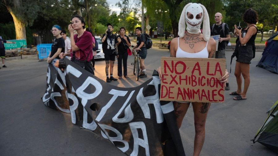 De Mendiolaza al acampe contra el zoológico