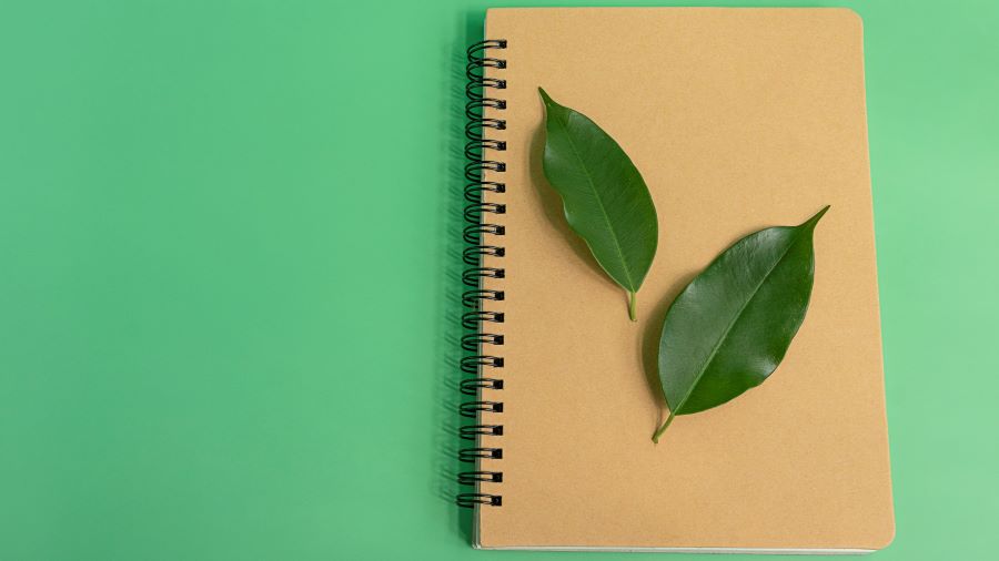 Agenda Mendiolaza hasta el 9 de mayo