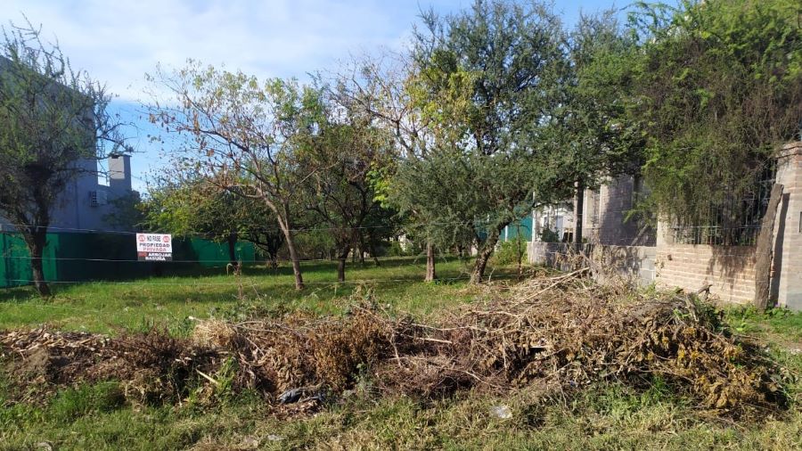 Todavía hay poda en las calles de Mendiolaza