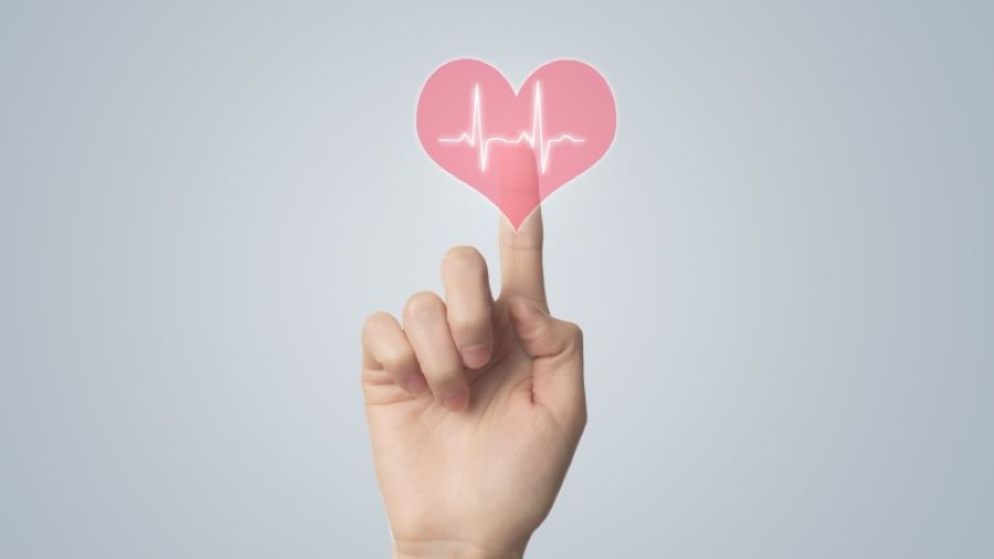 Propuestas de los candidatos en Mendiolaza