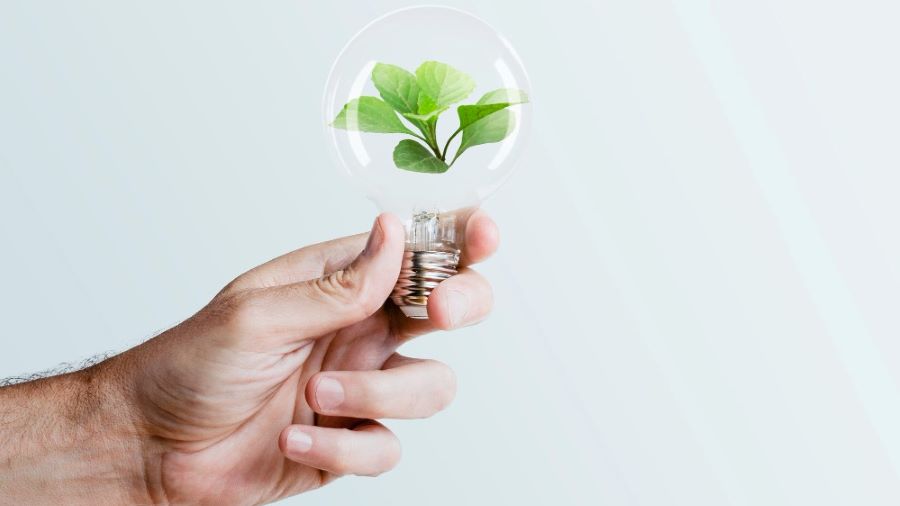 Medioambiente en propuestas en Mendiolaza