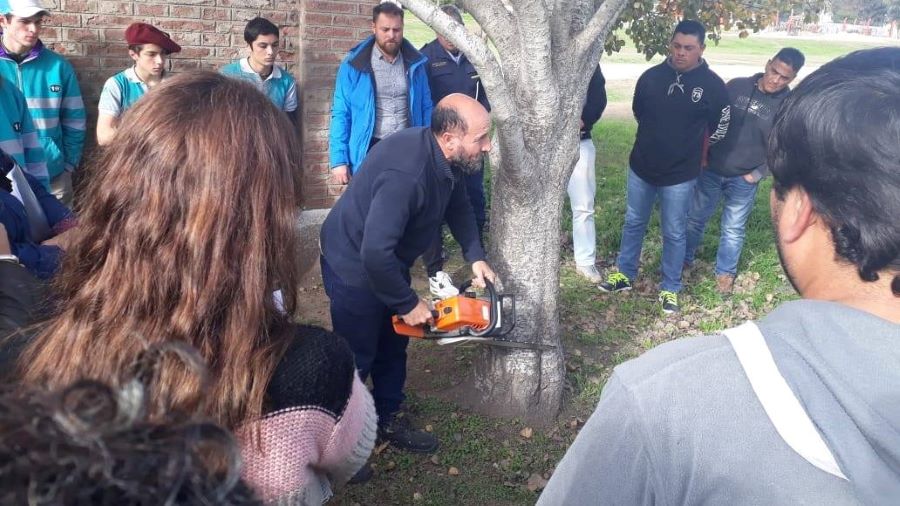 Podar en Mendiolaza. Demostración de uso de motosierra