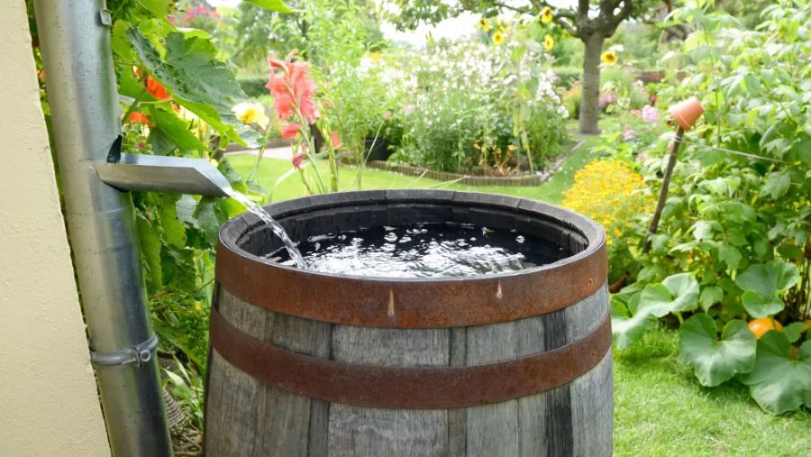 Cosecha de agua en Mendiolaza