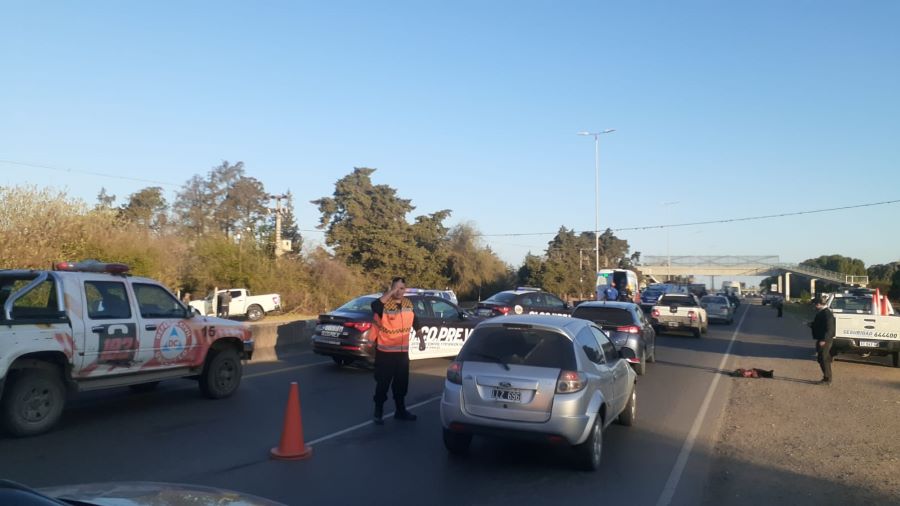 Perro muerto en accidente sobre la E53 en Mendiolaza