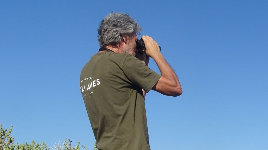 Mirando los pájaros volar en Mendiolaza