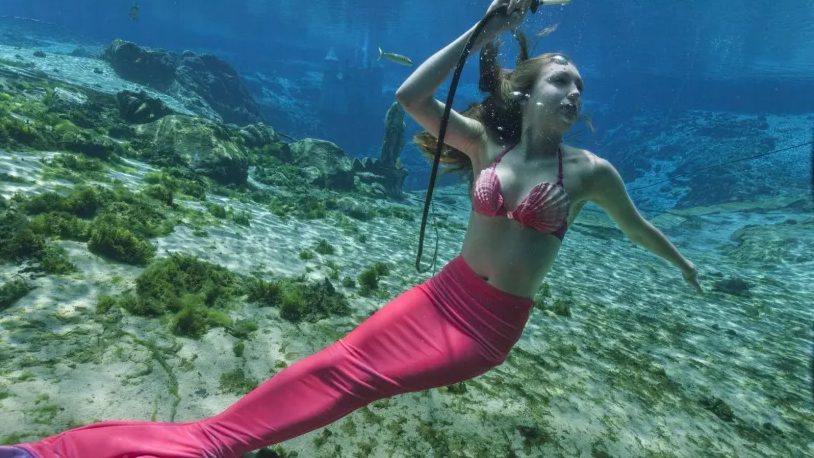 Sirena. Ilustración del artículos de Hilda Vittar. Democracia y psicoanálisis desde Mendiolaza