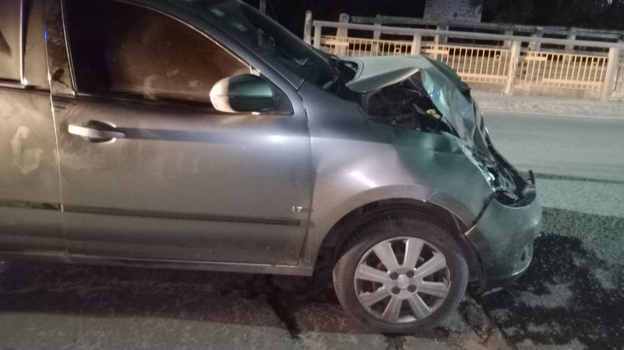 Vacas sueltas en la ruta a Mendiolaza