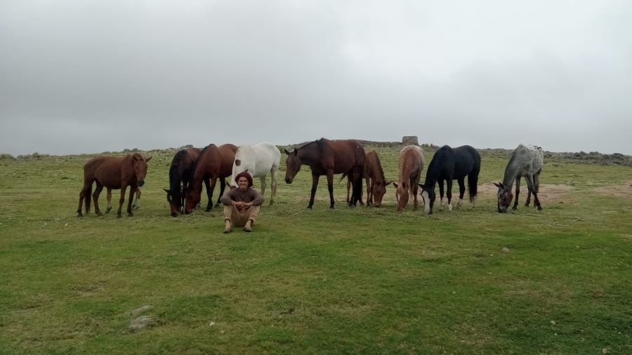 Kiu Ludueña con caballos en campo de Mendiolaza