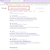 Ejemplo de utilización de palabras clave en búsquedas en Google
