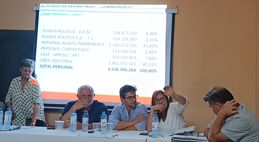 Lina María Catraro haciendo uso de la palabra durante la audiencia pública