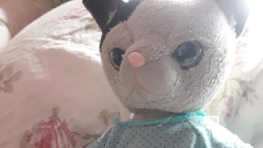 Peluche robado en Mendiolaza