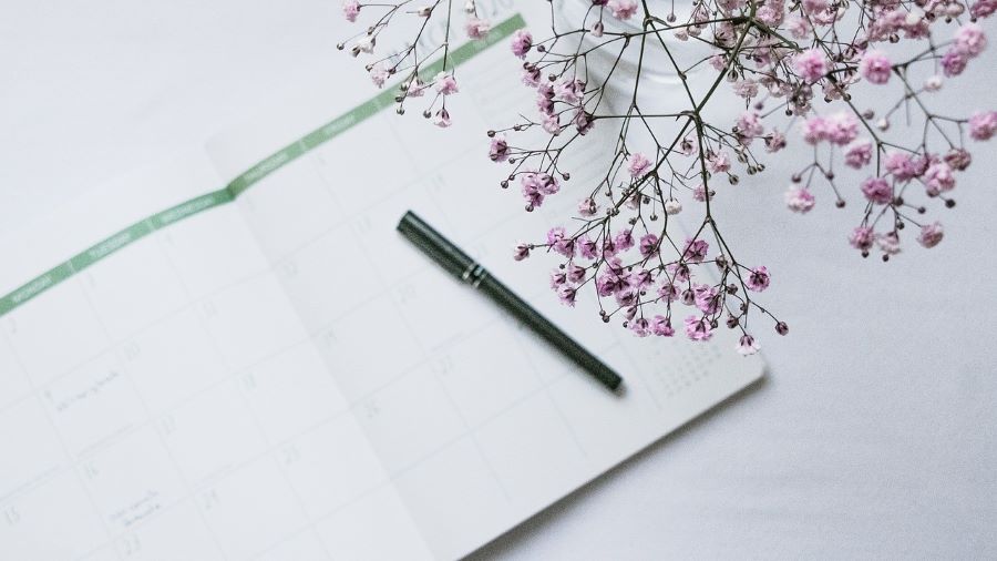 Agenda Mendiolaza hasta el 15 de marzo