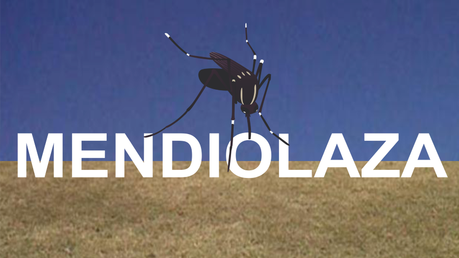 Dengue en Mendiolaza