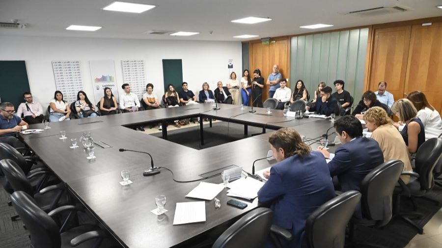 Debaten en la Legislatura dos proyectos para protegerlos