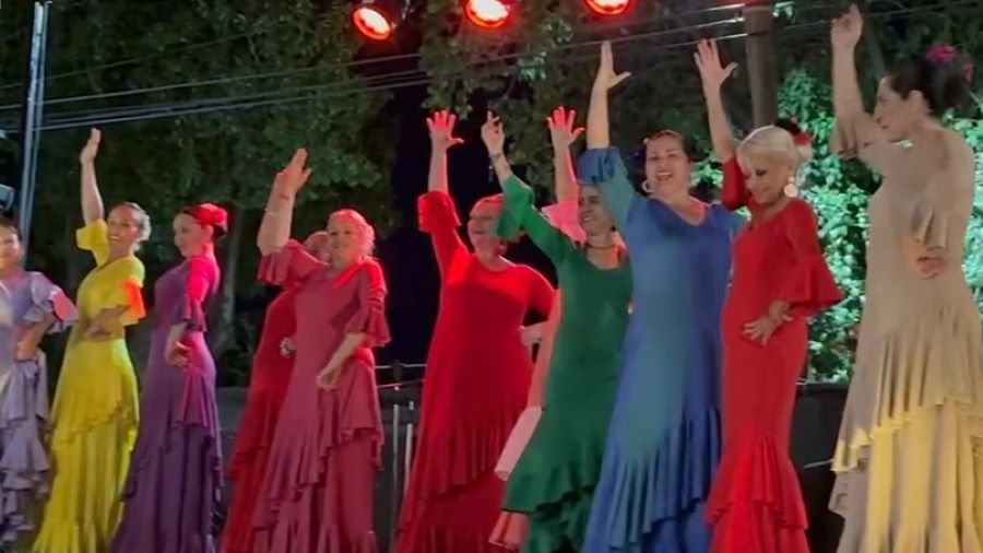 Flamenco entre Villa Allende y Mendiolaza demendiolaza