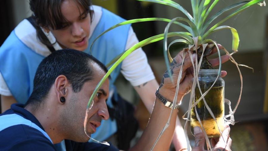 Estudian mosquitos en Mendiolaza