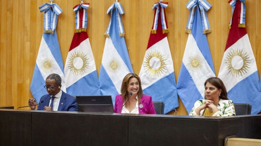 Manipulación Digital y Democracia legislatura de cordoba demendiolaza