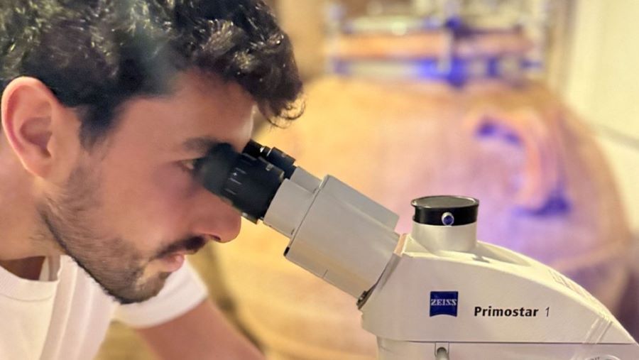 La ciencia del vino en Mendiolaza