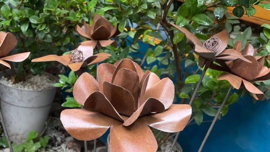 Flores perennes en Mendiolaza