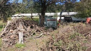 entro de chipeado en Mendiolaza Los vecinos podrán llevar su poda durante todo el año