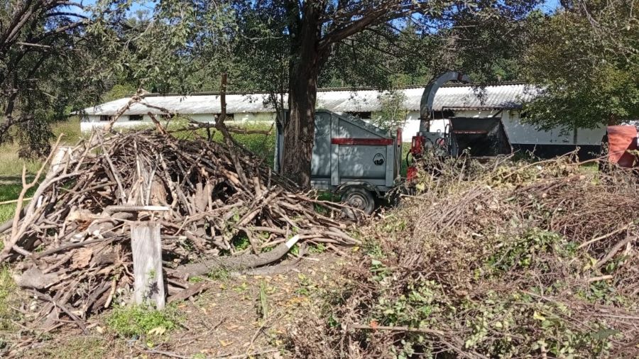 entro de chipeado en Mendiolaza Los vecinos podrán llevar su poda durante todo el año